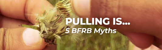 5 Myths To Unlearn To STOP Pulling Out Your Hair, Picking Your Skin, or Biting Your Nails