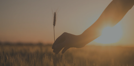 HabitAware-wheat-keen-bracelet-trichotillomania-dermatillomania