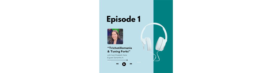 HabitAware Mention on the How Do Other People Do This? Podcast