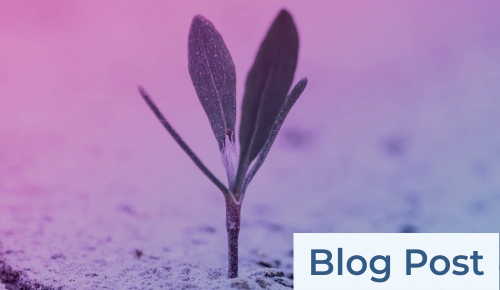 A plant growing out of the ground with the words blog post.